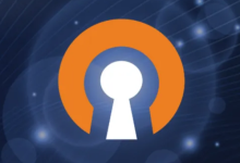 OpenVPN (openvpn.net) VPN Buying Guide & Comprehensive Review-NetWorldTop | Product Reviews, Tech Guides & Online Tools