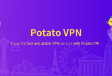 PotatoVPN Review & Buying Guide — Honest Evaluation Before You Subscribe-NetWorldTop | Product Reviews, Tech Guides & Online Tools